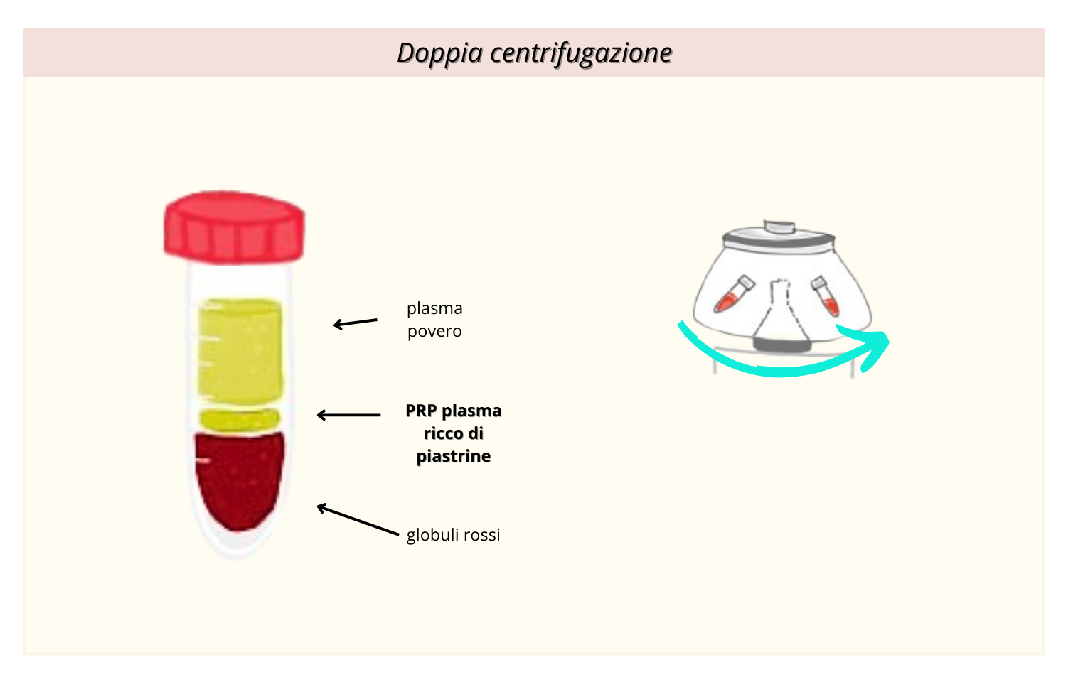 Doppia centrifuga defi
