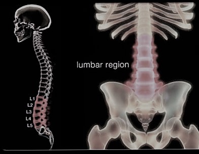 Stenosi vertebrale e spondilodiscopatia un percorso conservativo